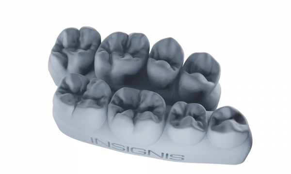 PosteriorAnatomy - Image 3